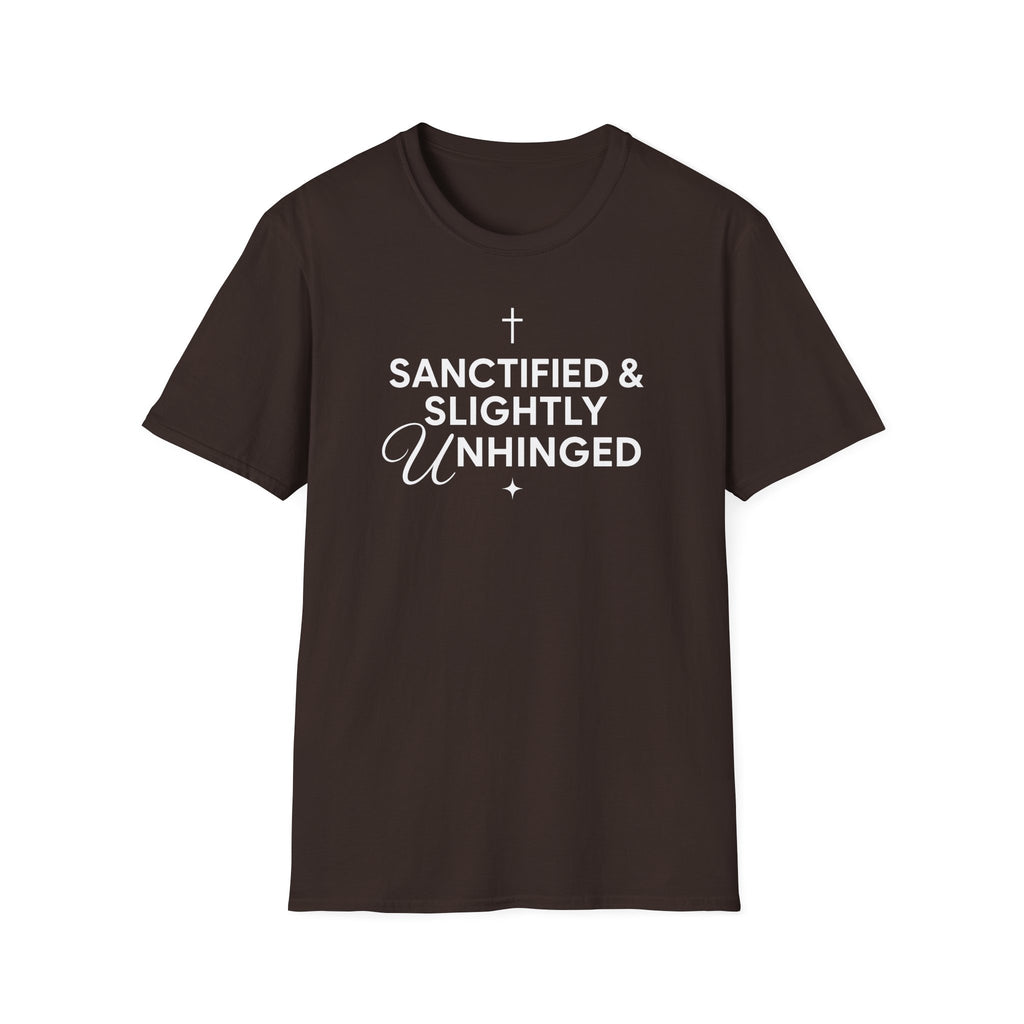SANCITFIED & SLIGHTLY UNHINGED T-Shirt