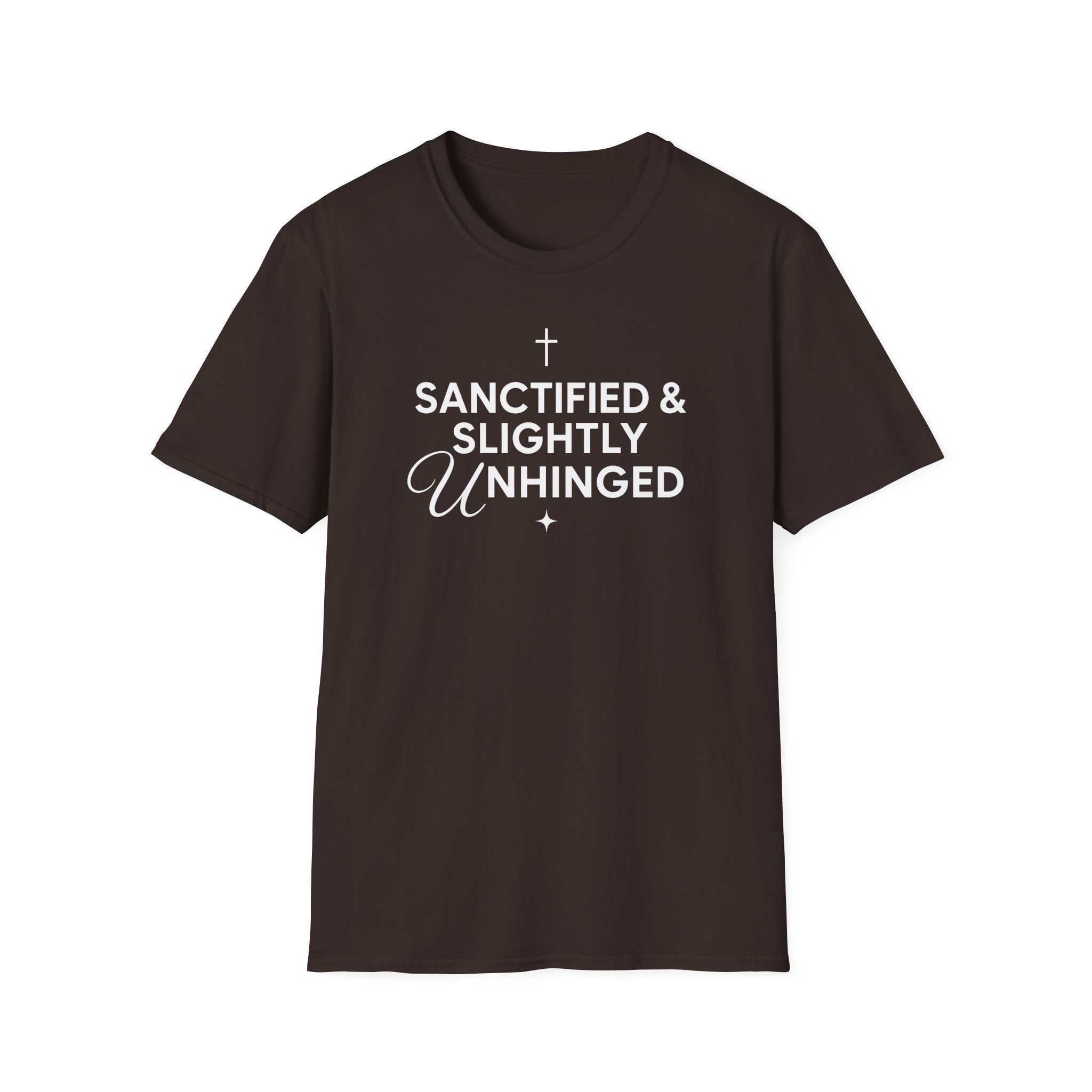 SANCITFIED & SLIGHTLY UNHINGED T-Shirt