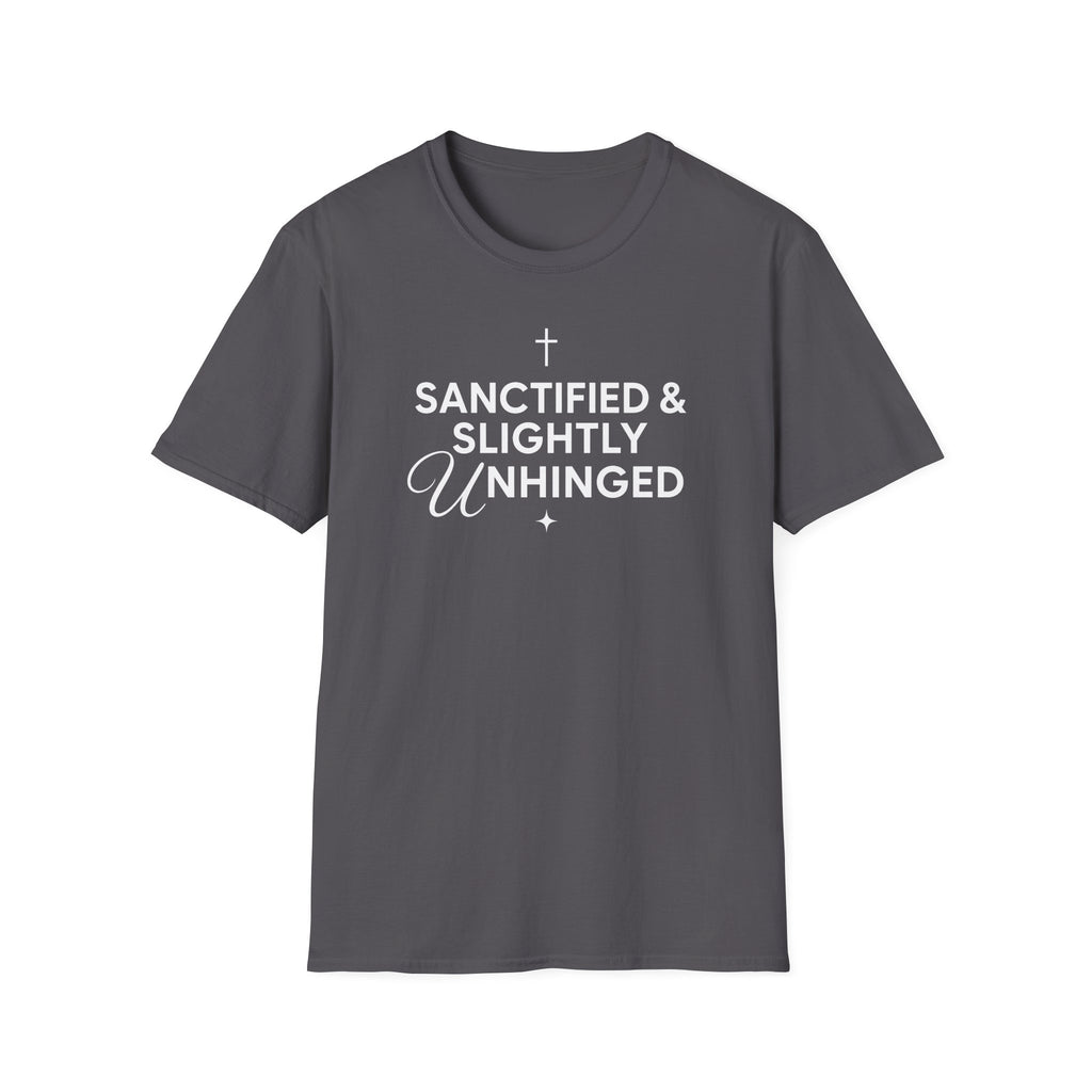 SANCITFIED & SLIGHTLY UNHINGED T-Shirt